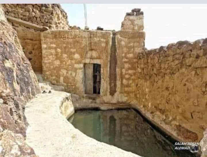 Past Pulse tweet media