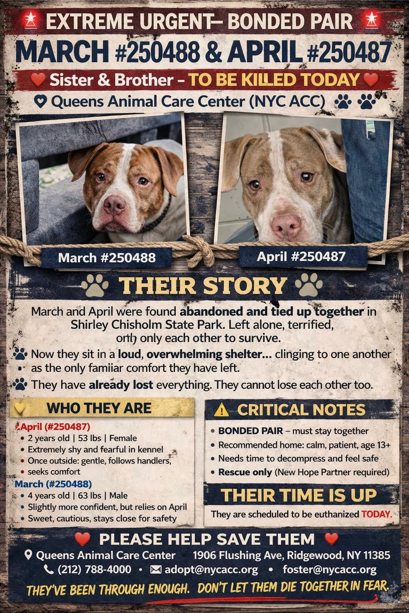 MSC1111 🇳🇱 tweet media