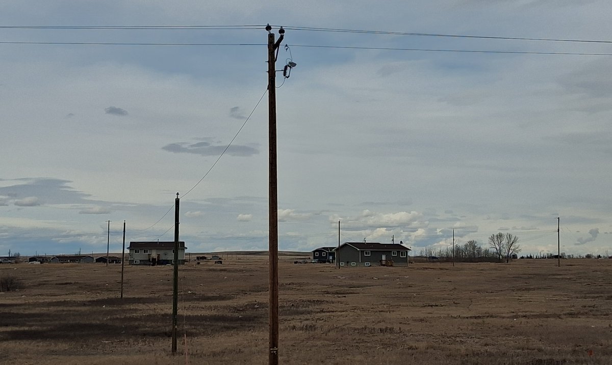 Cory Morgan tweet media