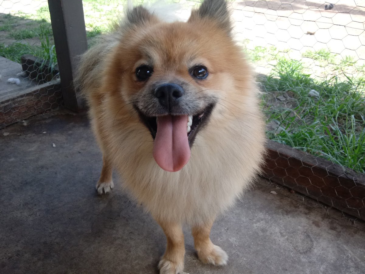 Jenaskren ~ tweet media