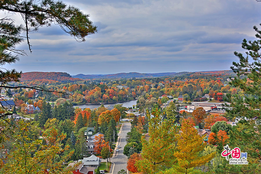 DIPIKA DUBEY tweet media