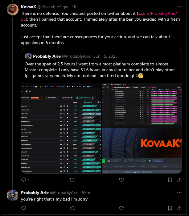 rin sillydomi tweet media