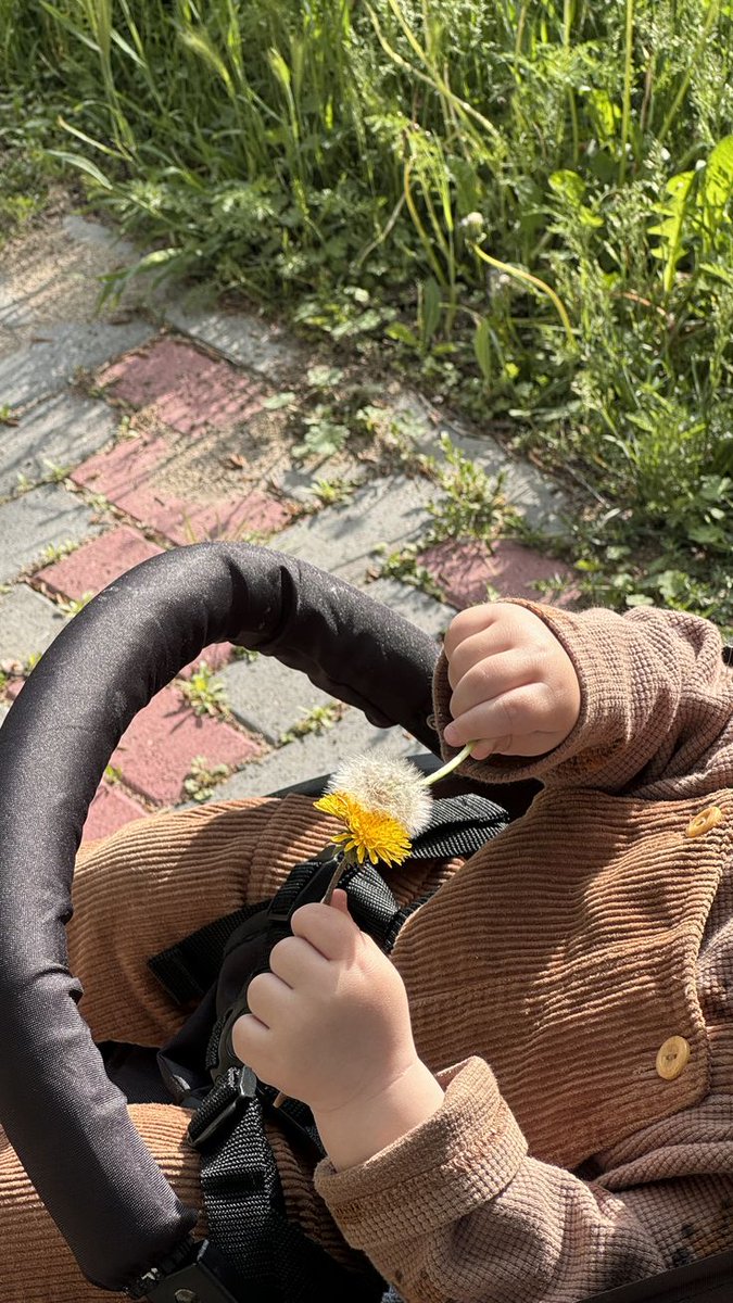 𝖣𝖺𝗇𝗍𝖾. tweet media