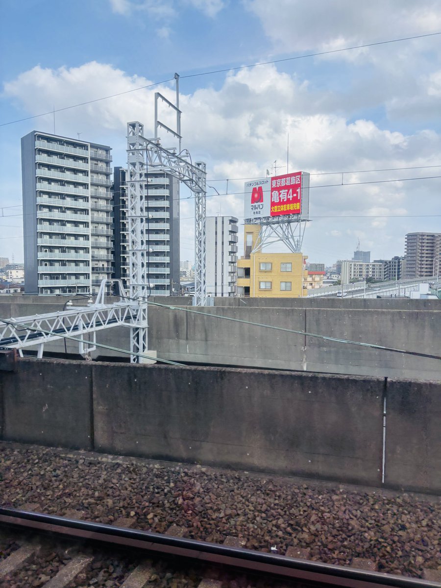 Uncle Bear tweet media