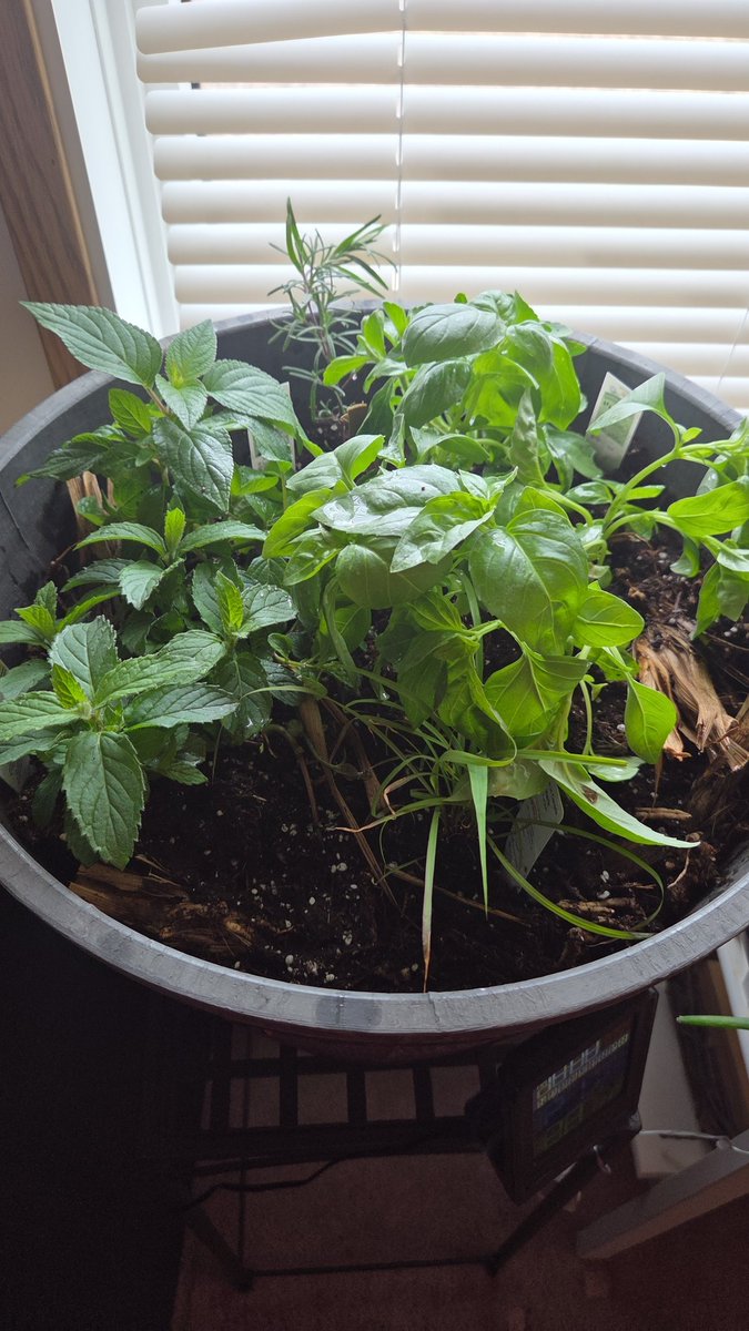 Вика tweet media