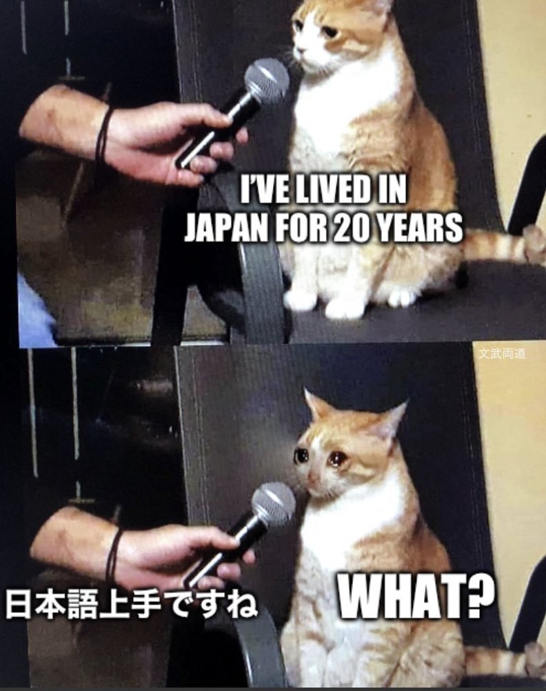 Bunburyōdō (文武両道) (Bun) tweet media