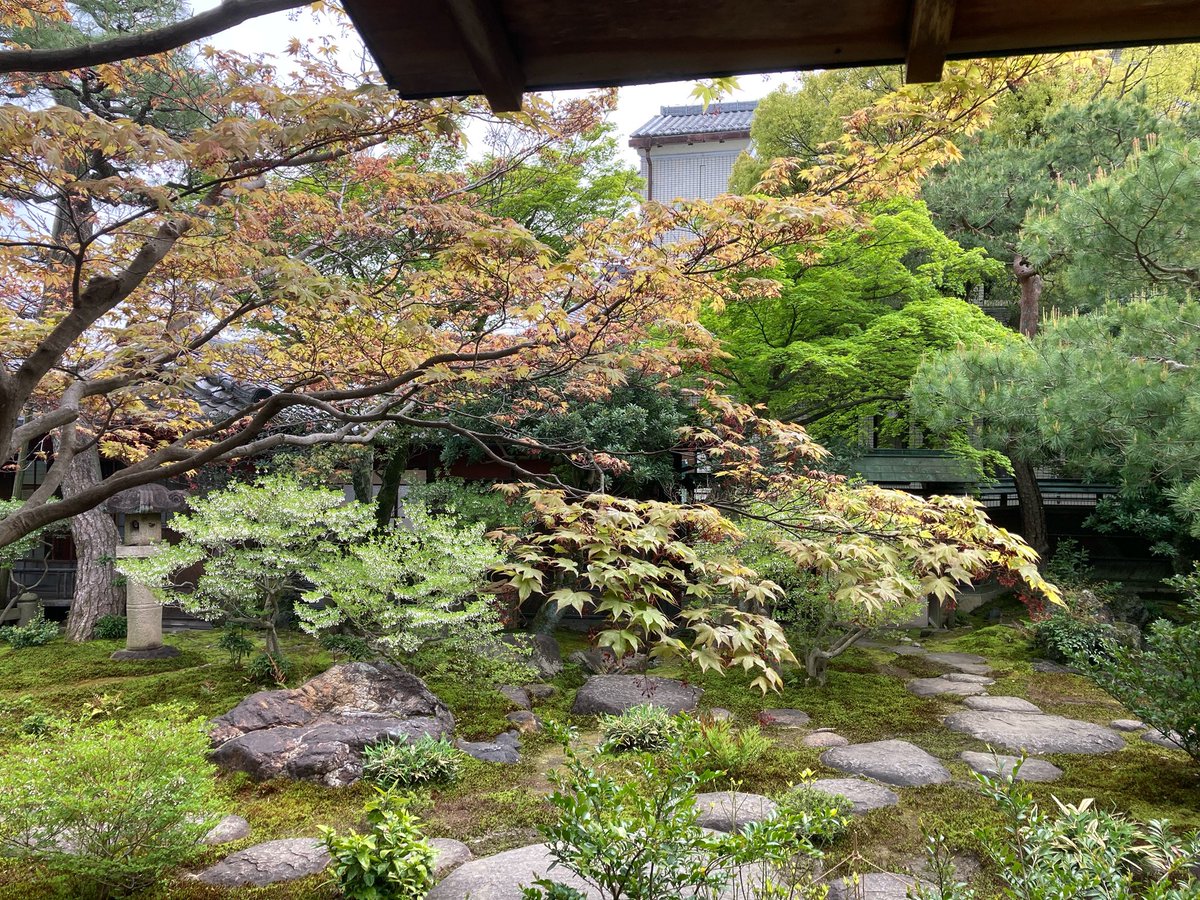 空色CAT @場面緘黙症 ASD tweet media