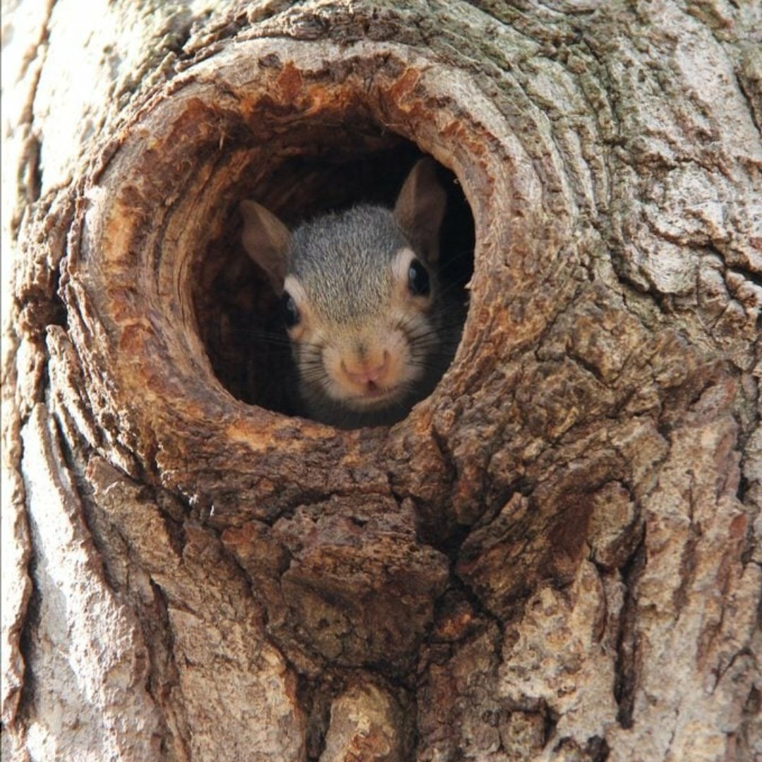 Steve Billings tweet media