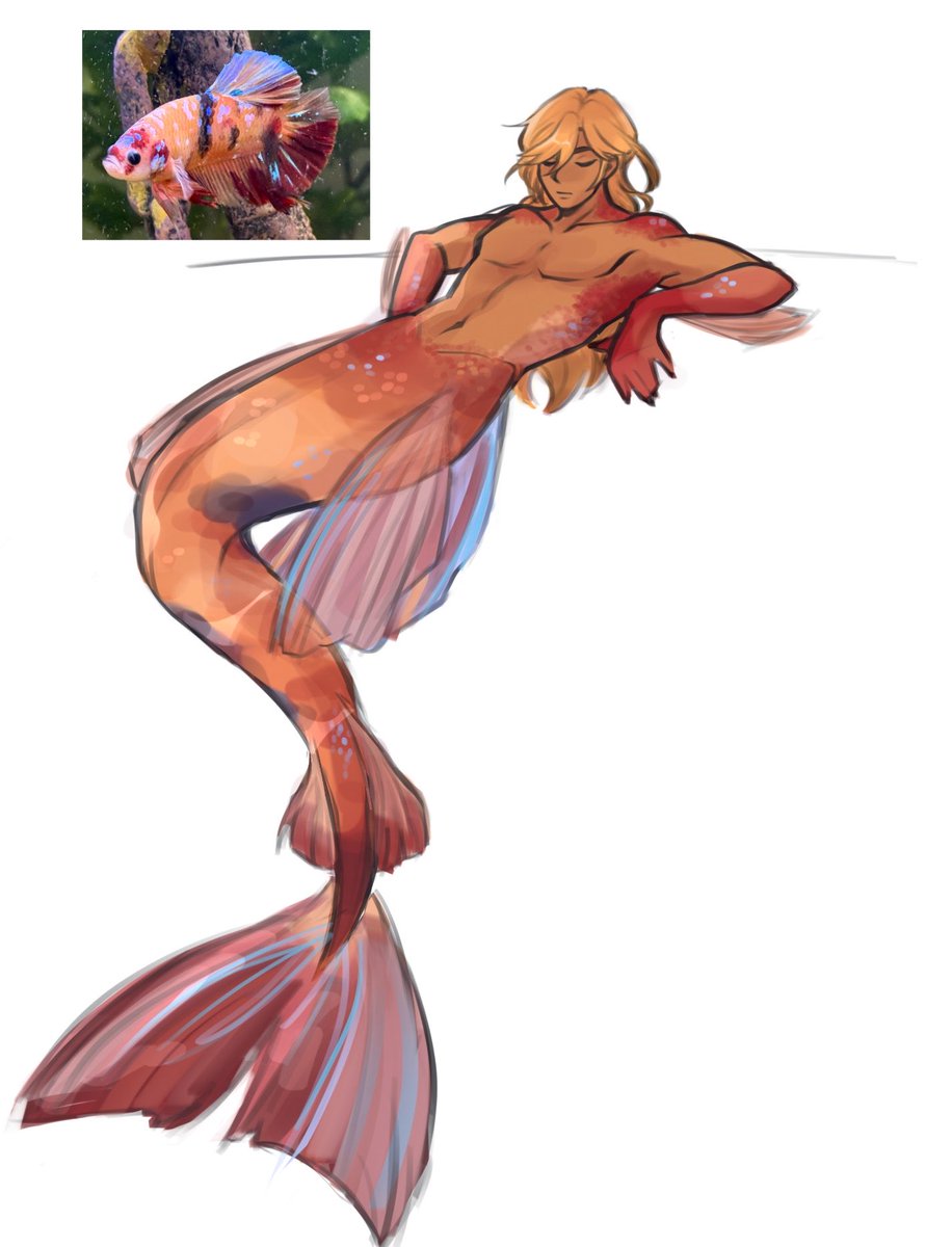 calxaurum's tweet photo. Based off my late betta fish named Kaveh ♥️🫧 https://t.co/fHeFrA66Bd