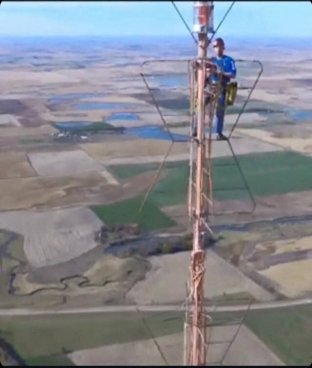 Bronze Giant tweet media