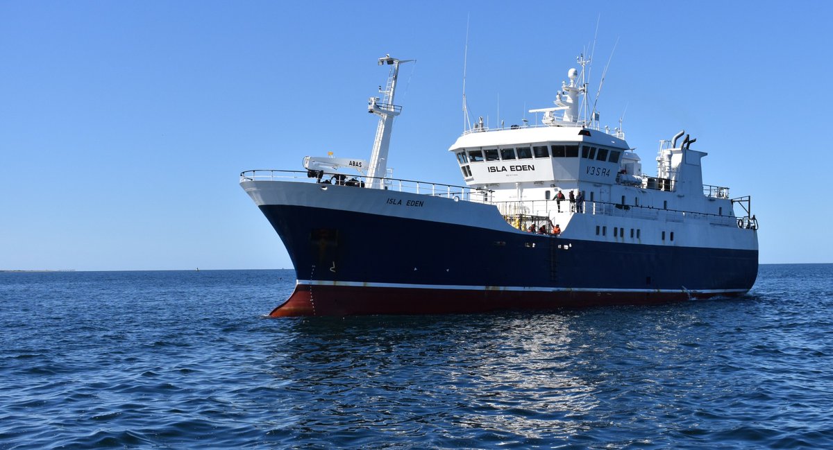 dialogosur's tweet image. #Pesca #Bacalao Primer trimestre: Exportaciones de bacalao crecieron un 65% en Magallanes: Punta Arenas. 14 abril 2026. La industria pesquera de la Región de Magallanes continúa consolidando su posicionamiento en mercados internacionales gracias al… dlvr.it/TS2TXD