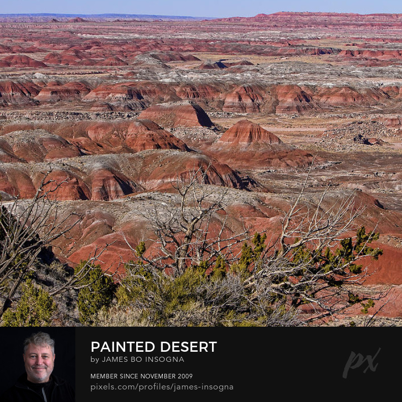 Bo Insogna - Striking Fine Art tweet media