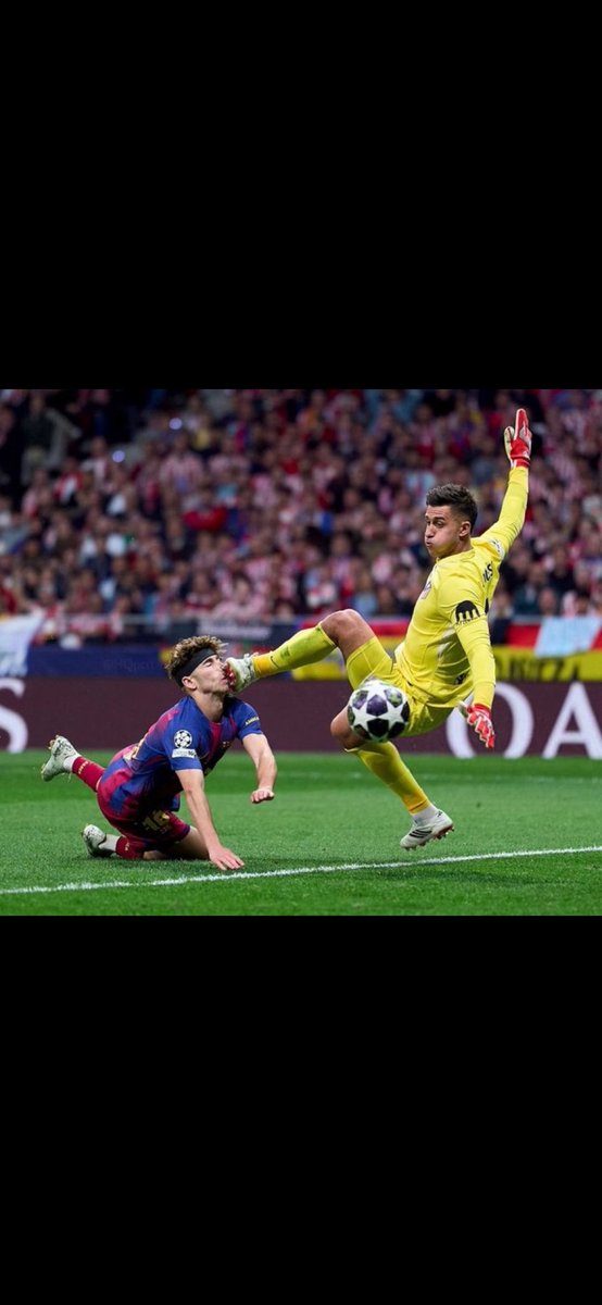 Wilk z Żerania tweet media