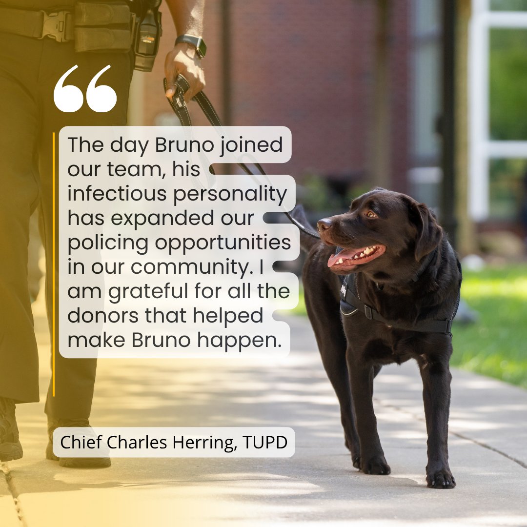 Towson University tweet media