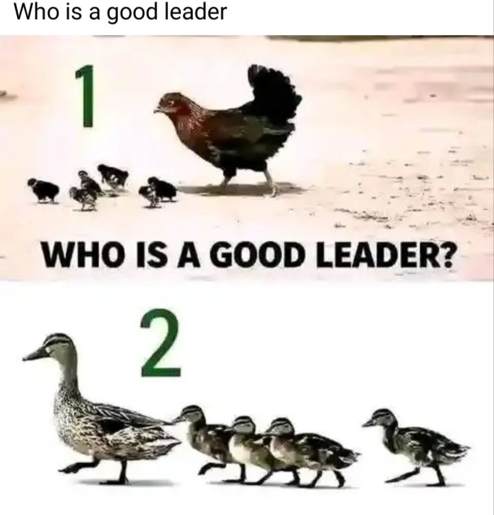 JPCHIZZY2's tweet image. Thoughtful &amp;amp; Professional 💡
True leadership isn't just about moving forward; it’s about making sure your team can keep up. A good leader doesn't leave anyone behind. 🦆✨ #Leadership #Teamwork #GrowthMindset