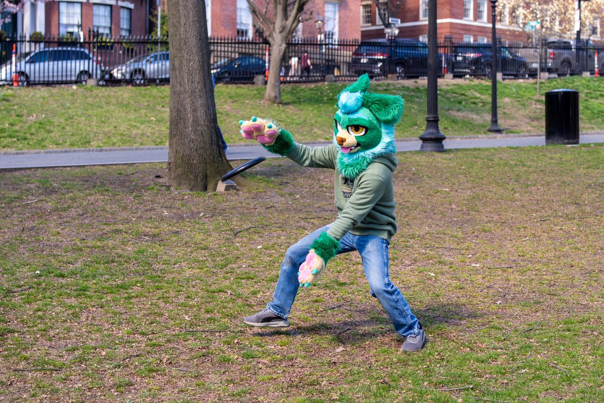 Gray Himakar tweet media