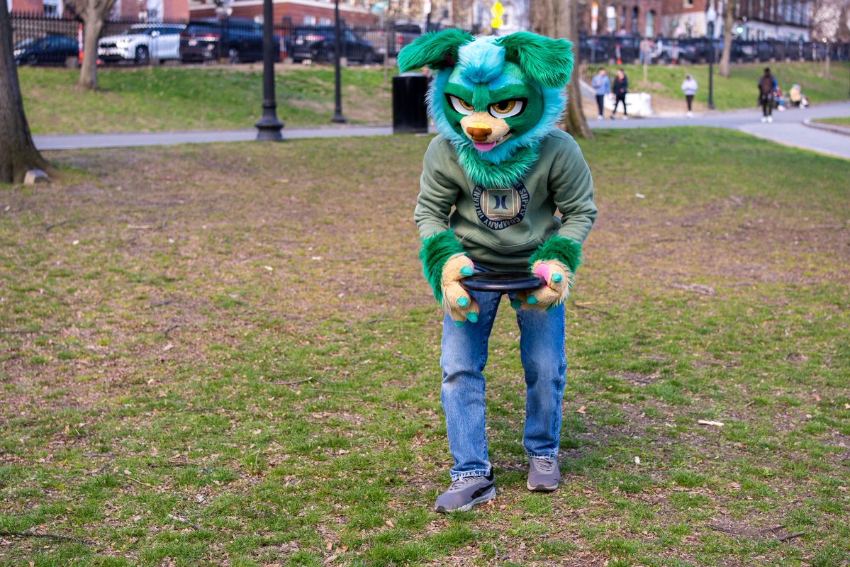 Gray Himakar tweet media