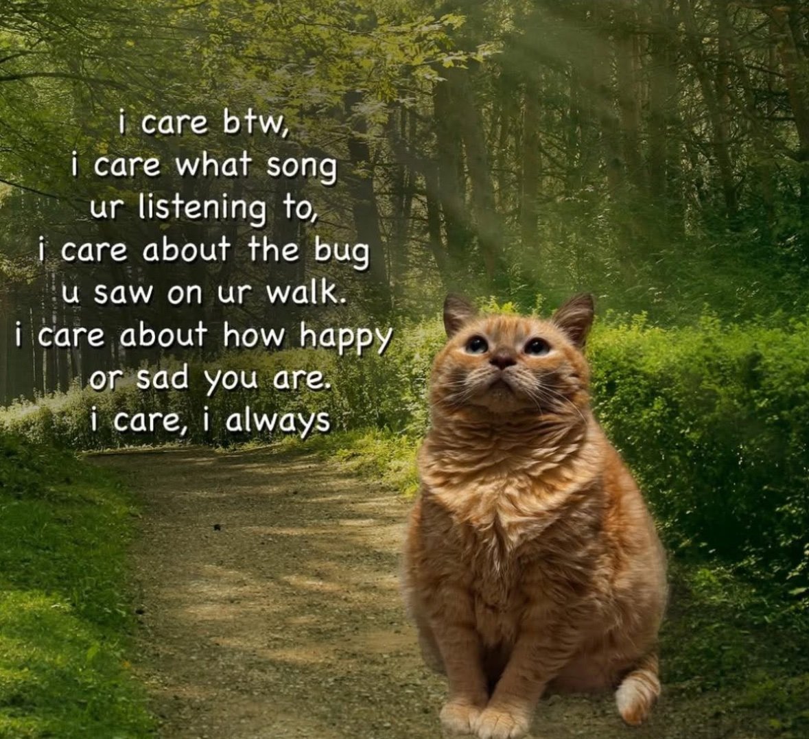 Alien Perspective tweet media