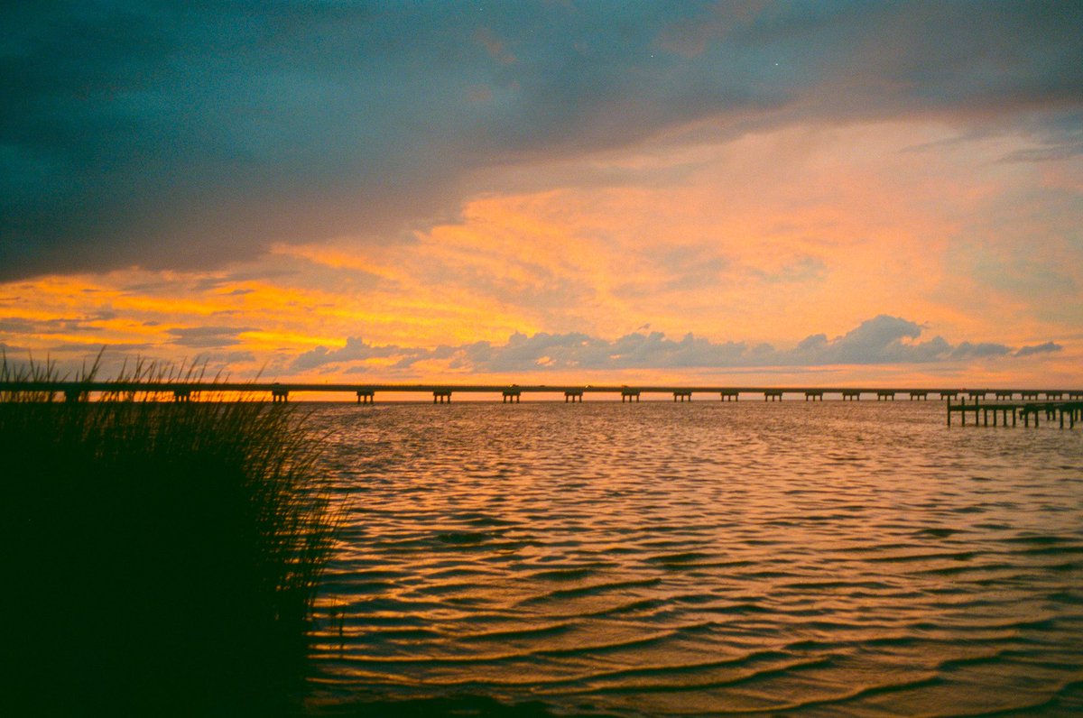 nev_in_color's tweet photo. fading light on the coast 🎞️ https://t.co/VPnGOFq8Wk