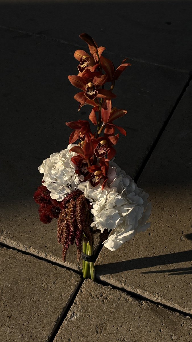 Matheus Cornetti tweet media