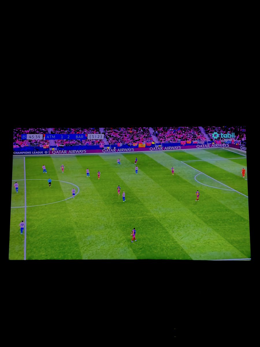 Apo 🇩🇪 tweet media