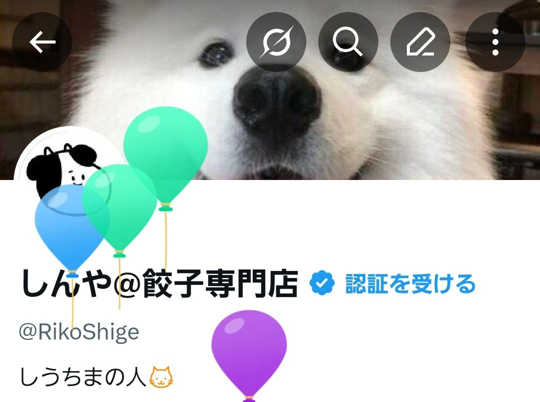 しんや@餃子専門店 tweet media