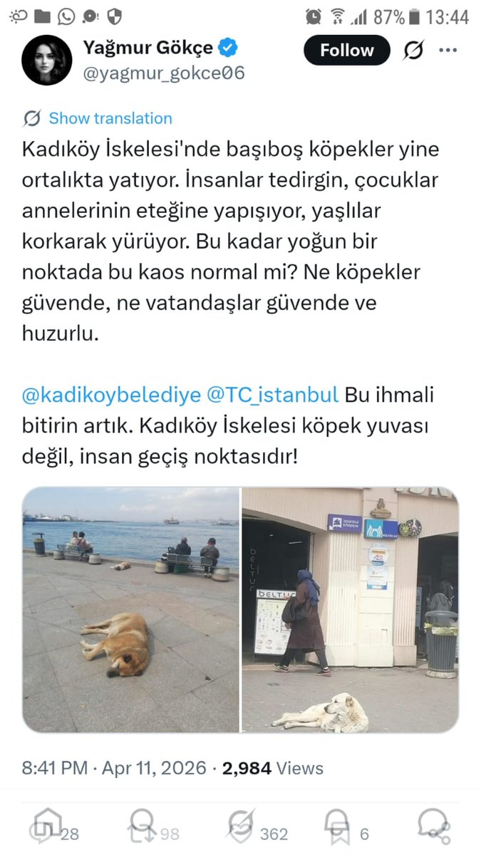 Elif Gökteke tweet media