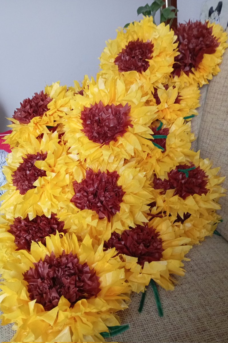 Maruska 🌻🌻Vol. 7 tweet media