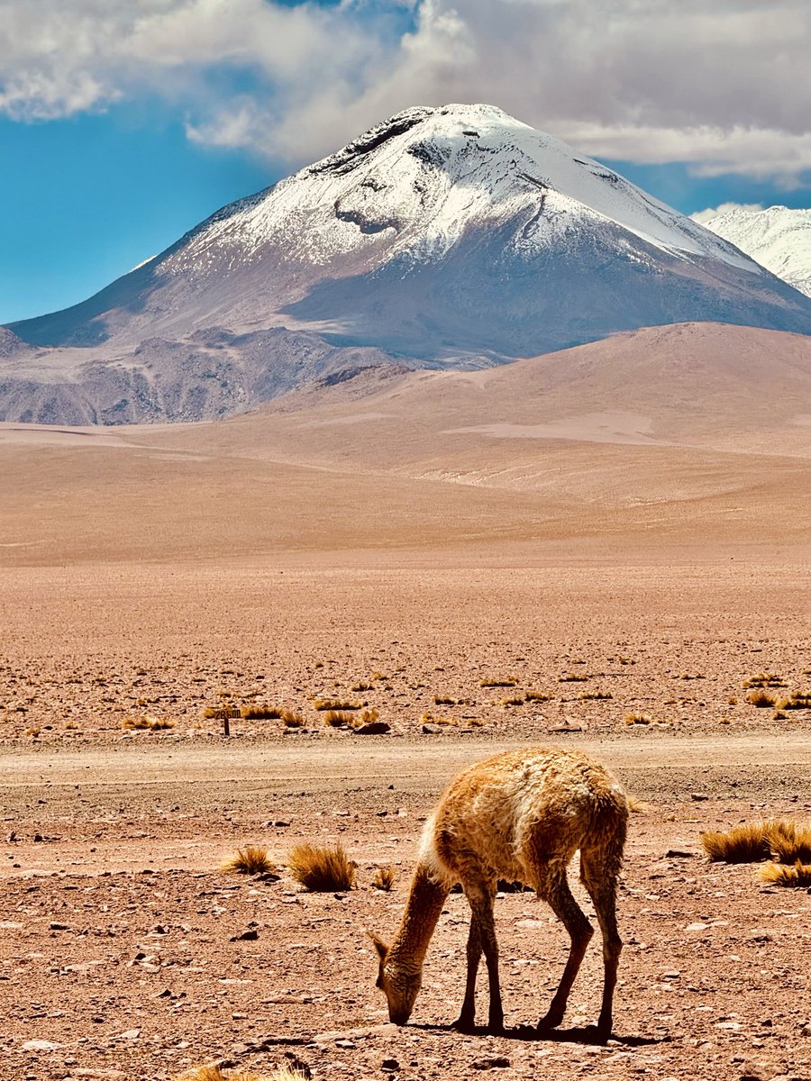 Gerald kara tweet media