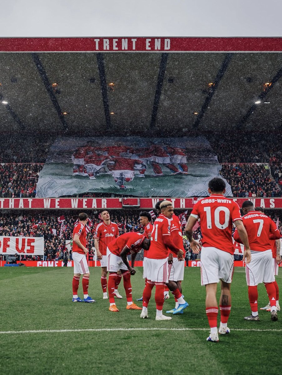 fayeechristinaa's tweet photo. Proud to have worked with @forza_garibaldi on this special display inspired by the incredible Noah, and all the kids and families battling against illness, you are an inspiration to all.

Thank you again for trusting me with this amazing project. 

📸 @Ritchie_Sumpter

#NFFC https://t.co/x2btnvgsoB