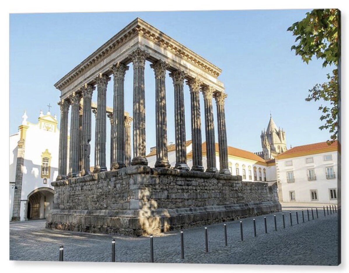 Shonna Hawkins Photography tweet media