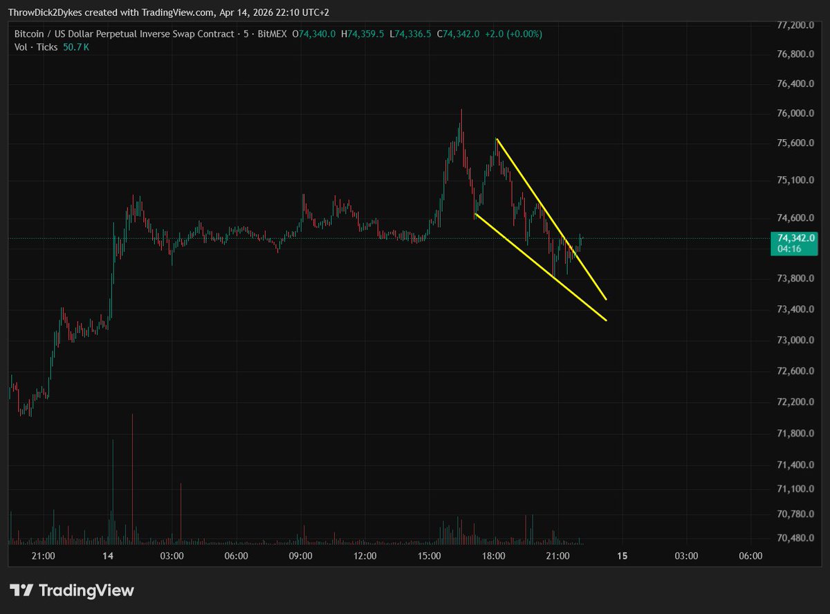BitcoiniRaptor tweet media