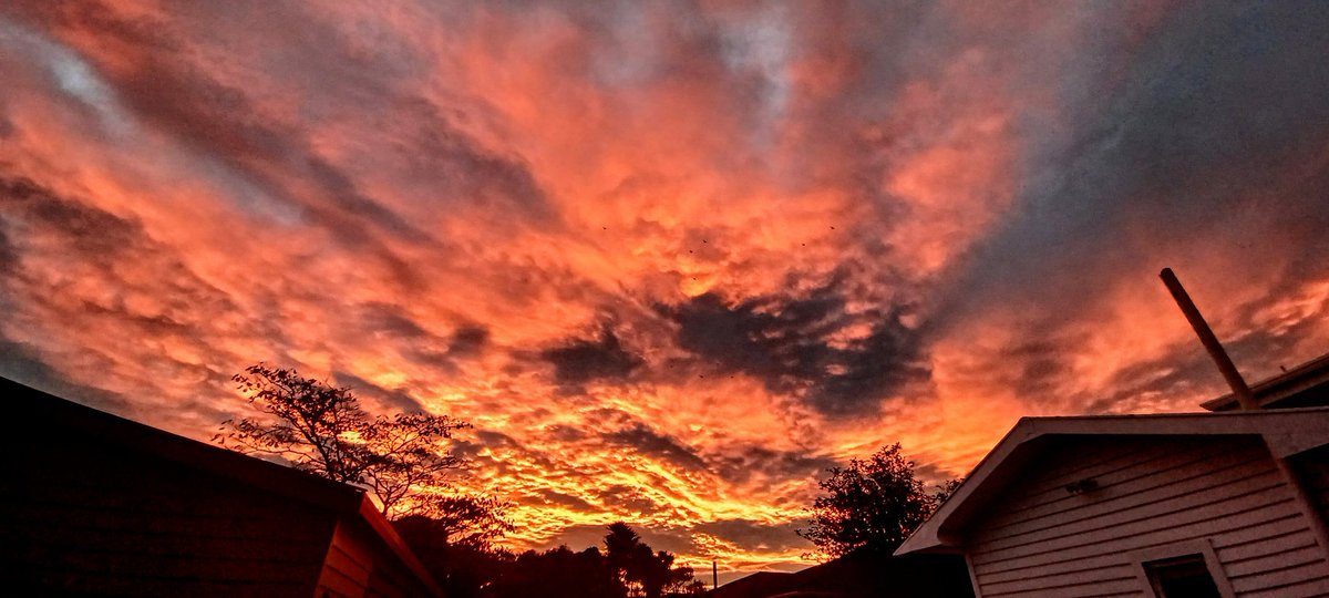 mariammxviii's tweet image. #Autumn #Sunsets ❤️