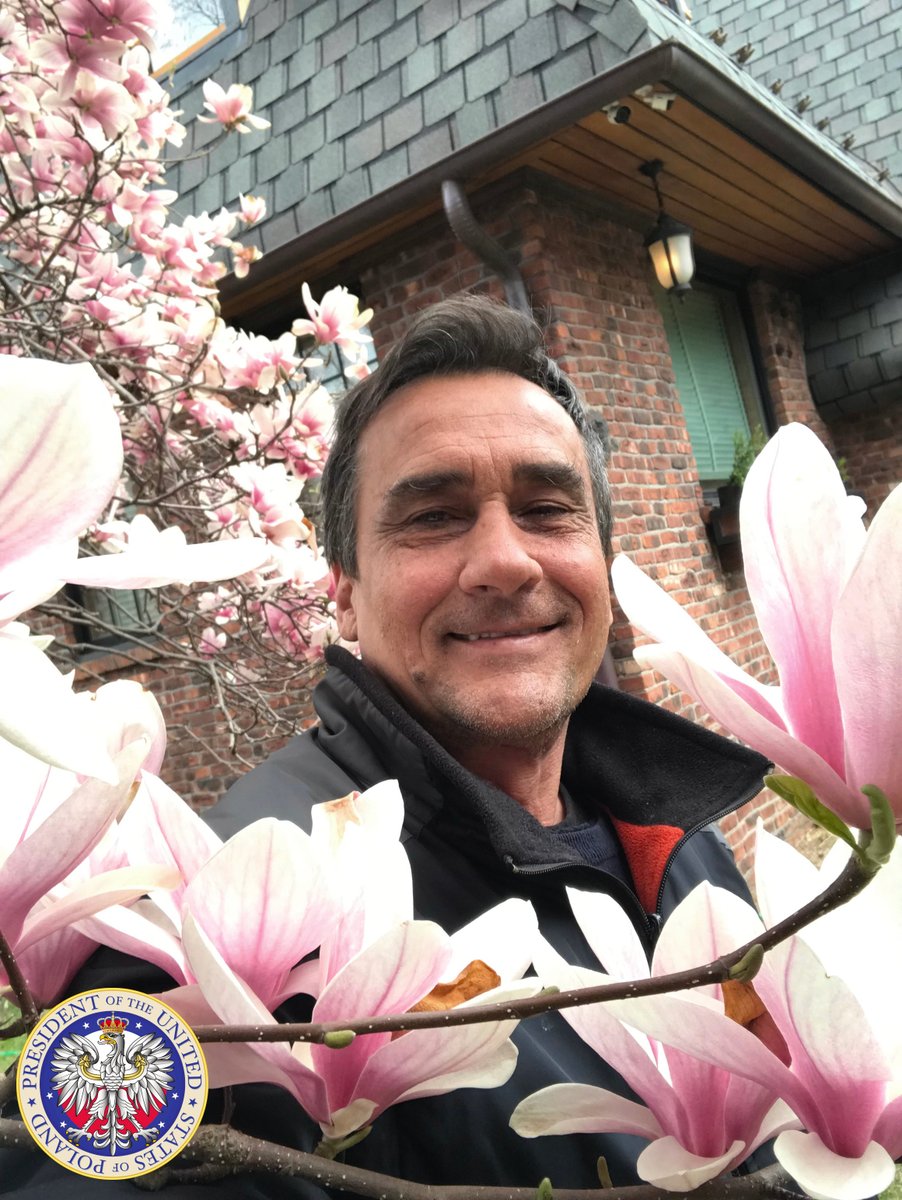 maxkolonko tweet media