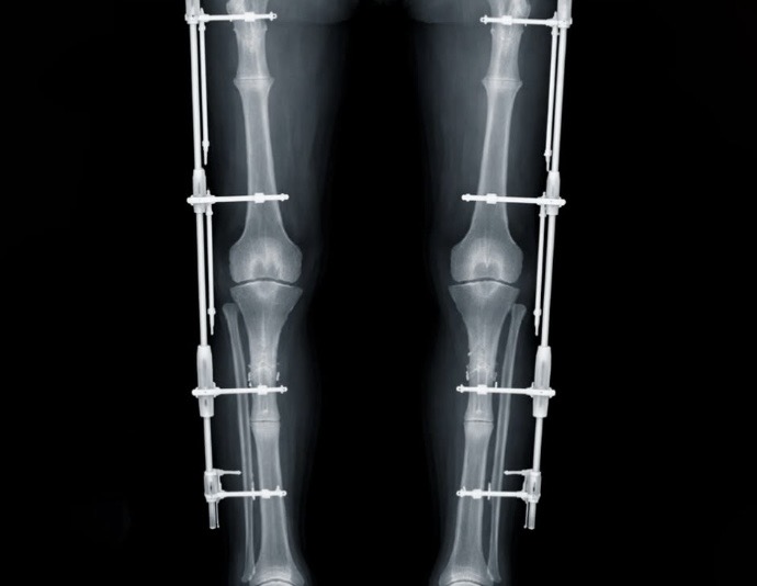 Tendencias tweet media