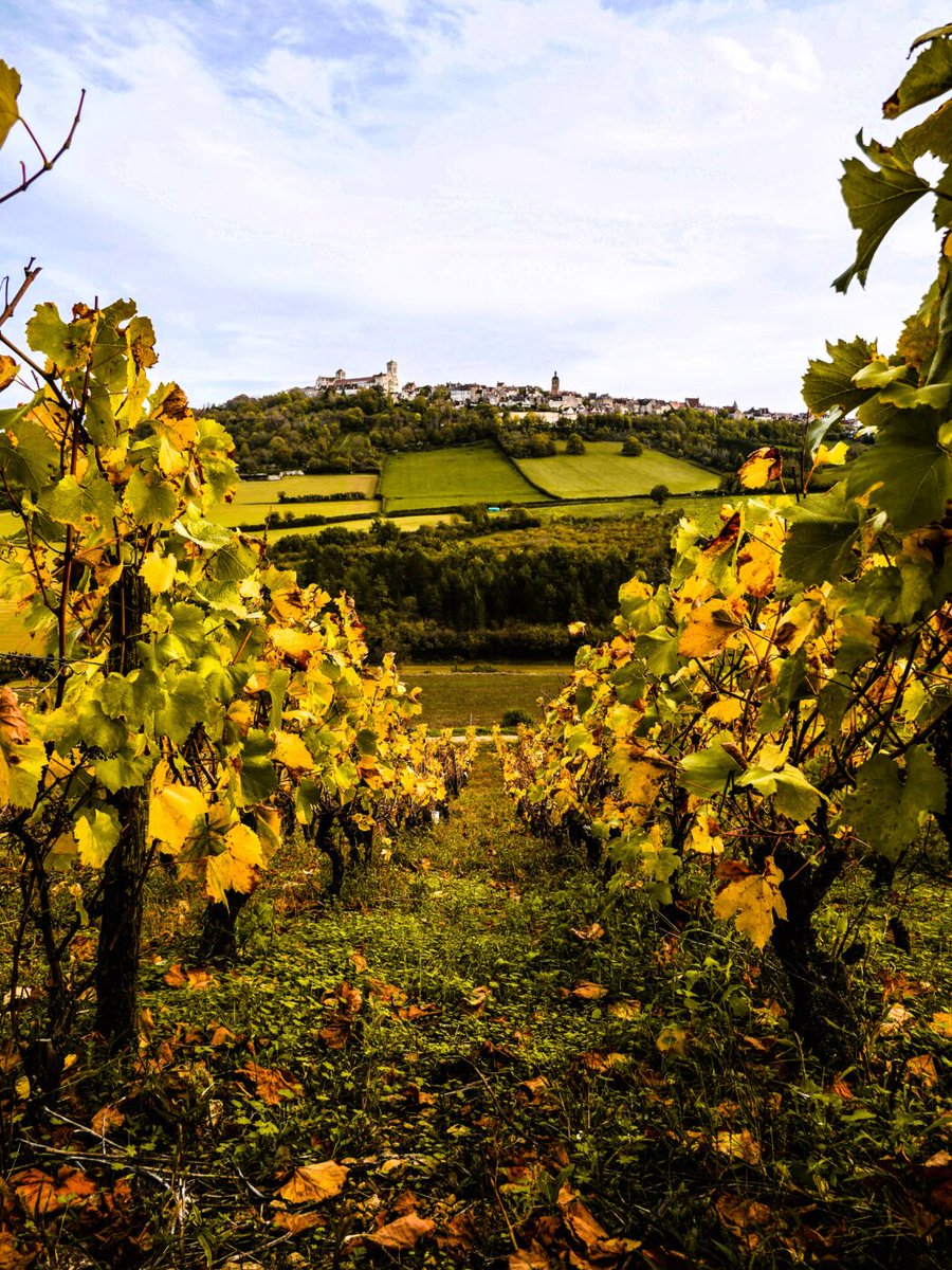 scottsterroir's tweet photo. The Village of Vézelay and early Roman heritage

The Vézelay AOC vineyards are situated on both sides of the Cure River, a tributary of the Yonne. 

https://t.co/TGuF9PQFnO https://t.co/Whgaj2Er0P