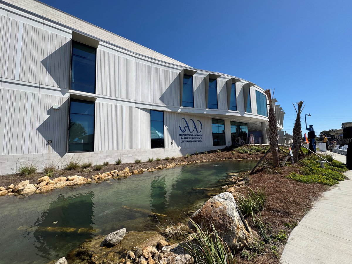 #RinkerLegacy tweet media