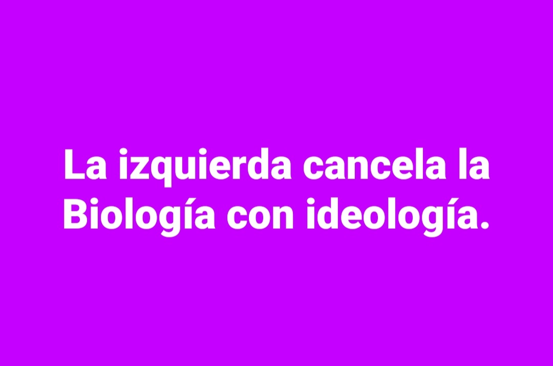 Santiago Soler Bernabéu tweet media