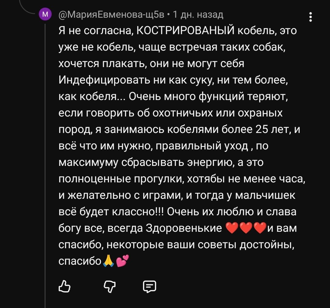 даша tweet media