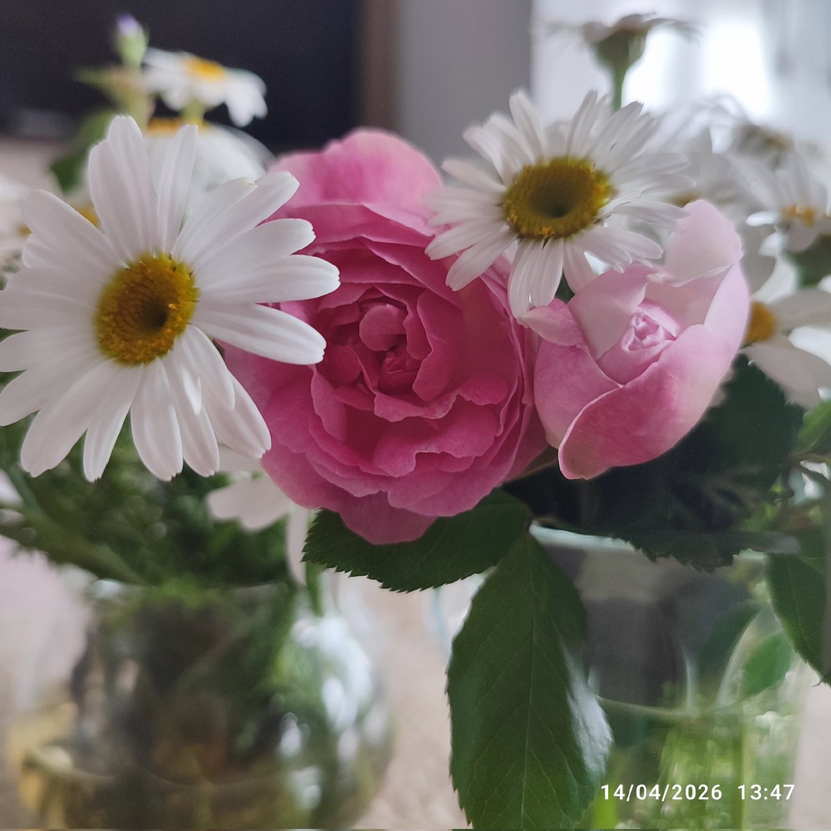 adikisa63's tweet photo. @aysenuryazici Biraz içimiz açılsın 🥰 https://t.co/vPFGs4I0QA