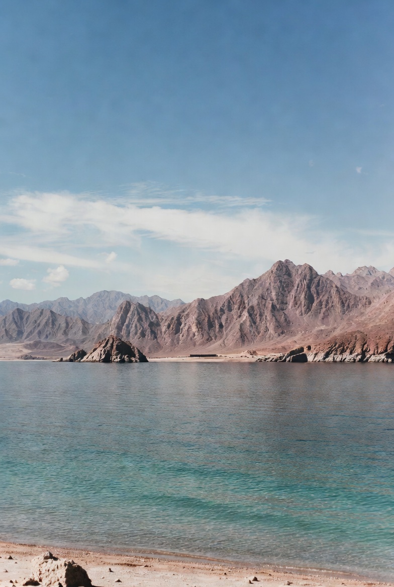 CO2 Coalition tweet media