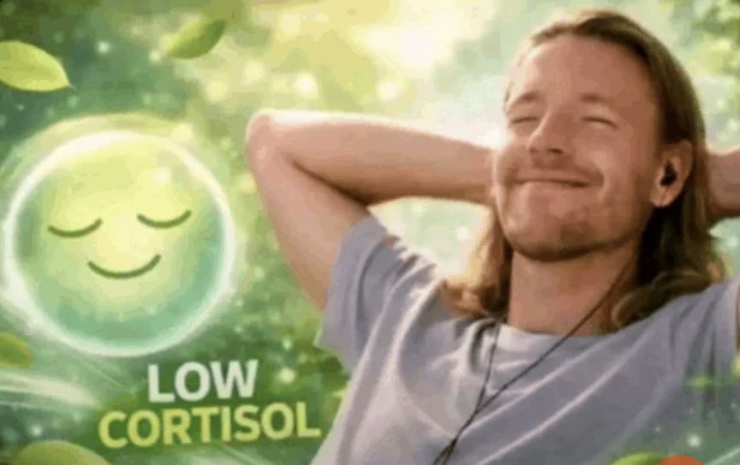 𝓼𝓪𝓰𝓪 ​⛧ tweet media