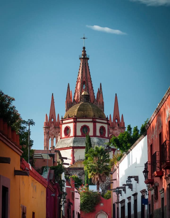 Doña Carmelita tweet media