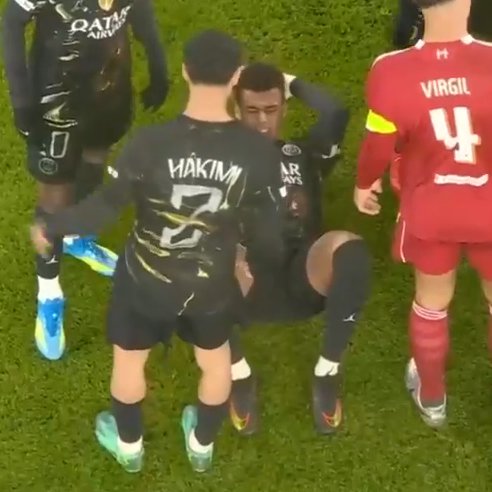 🐆XDvidTB tweet media