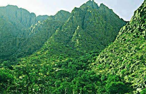 -imagination tweet media