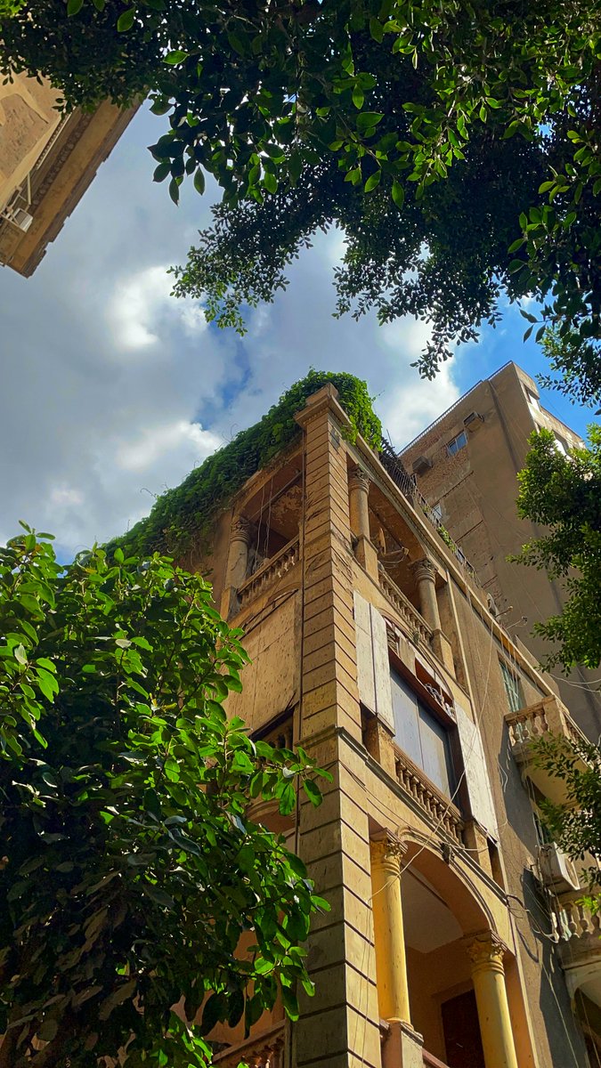 جعيفر tweet media