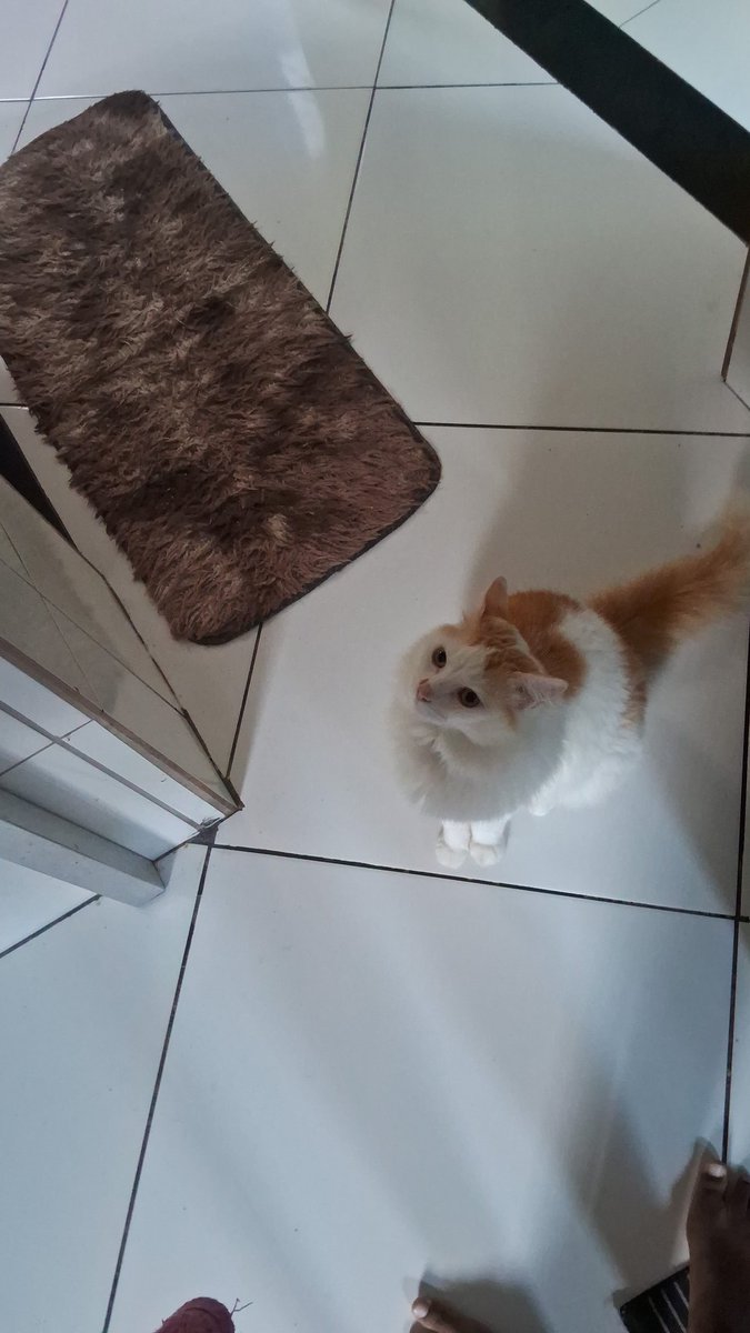 mile🩺 tweet media