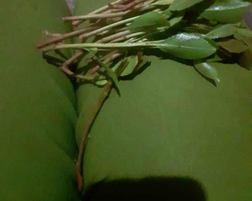 جميله.الوصابي tweet media