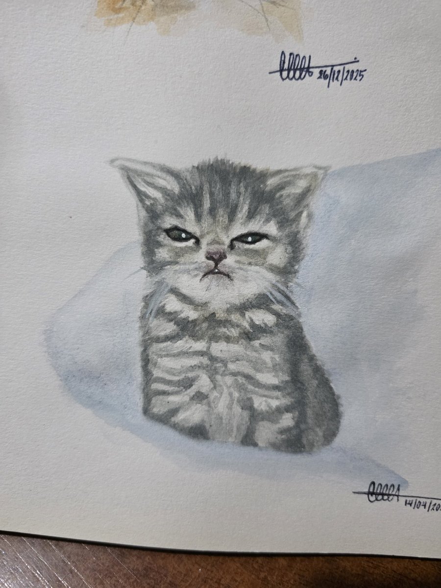 cece 🩷 VI A PIWON tweet media