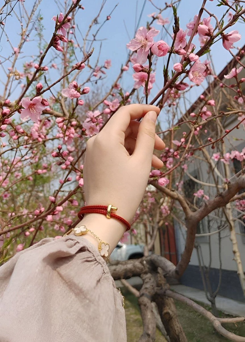 زهرة النرجس tweet media